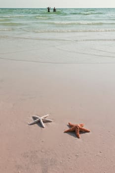 Idyllic summer vacation background with copy space
