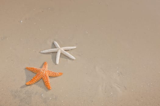 Idyllic summer vacation background with copy space