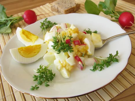 Egg salad with radishes and cress