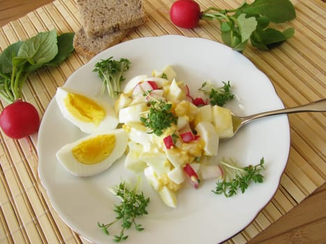 Egg salad with radishes and cress