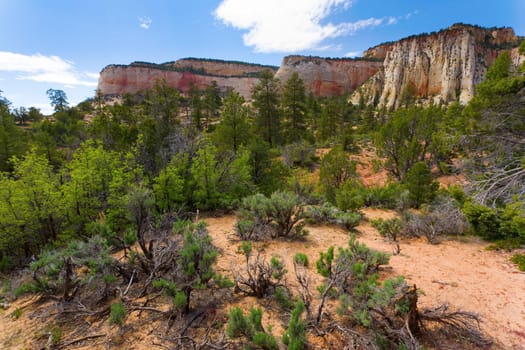 View of scenic landscape inside Zion national park