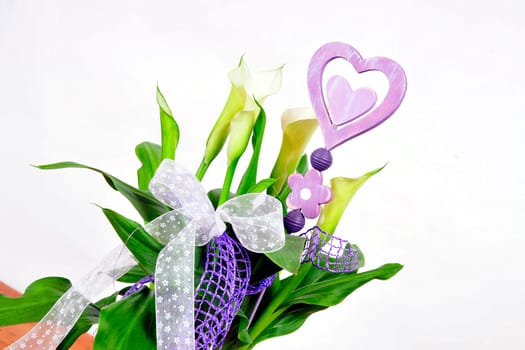 Calla Blossom Flowerpot Purple