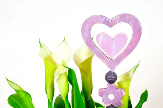 Calla Blossom Flowerpot Purple