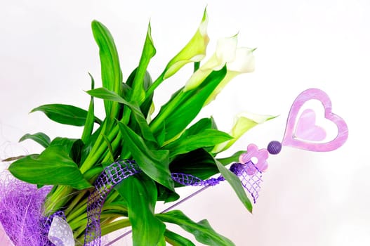 Calla Blossom Flowerpot Purple