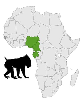Mandrill distribution map