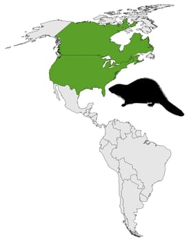 Occurrence of Canadian beavers