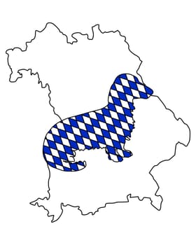Bavarian long-haired dachshund