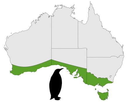 Little Penguin Distribution Map