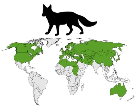 Fox Distribution