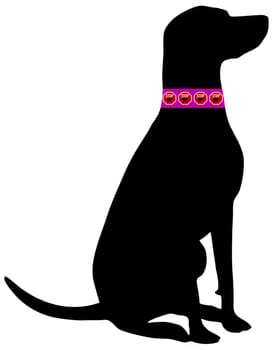 Dog Flea Collar