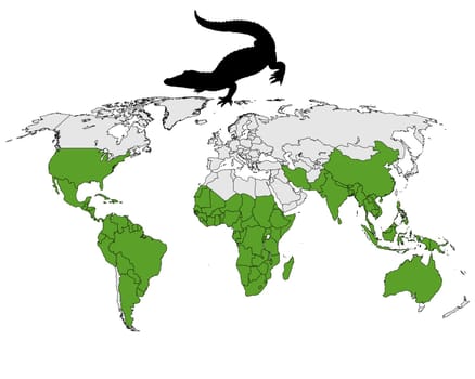 Crocodiles Distribution