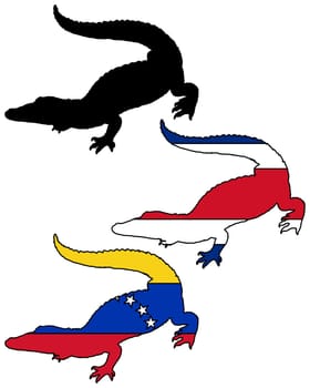 Crocodile South America