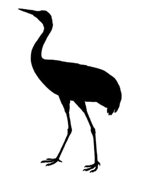 Crane Silhouette