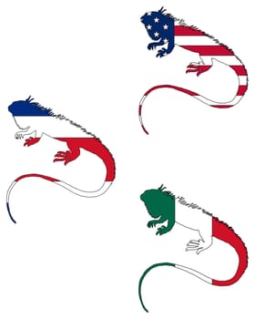 Iguana Flags