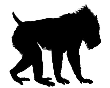 Mandrill Silhouette