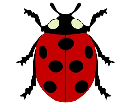 Ladybird