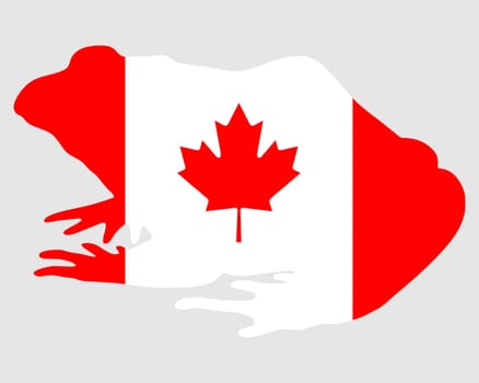 Bullfrog Canada