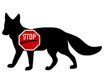 Stop killing fox