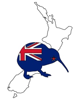 New Zealand's kiwifruit