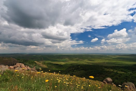 a hill with flowers and a sky with clouds