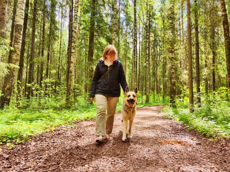 The girl or woman trains German Shepherd dog in spring, summer, and autumn forest. Walk and work with the dog