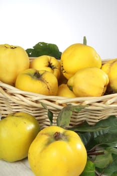 Quinces