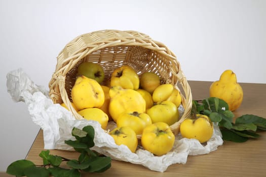 Quinces