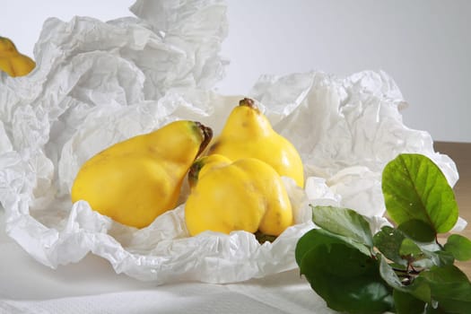Quinces
