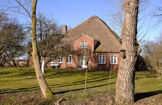 Thatched roof house