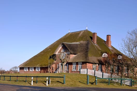 Thatched roof house
