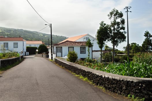 Country road in Pico island, Azores