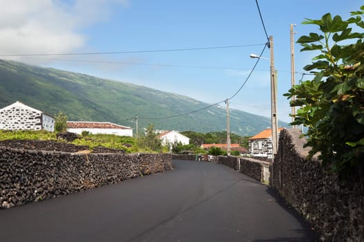 Country road in Pico island, Azores