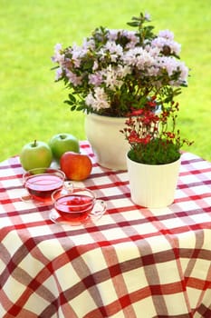 Herbal tea served in the garden - outdoor dining