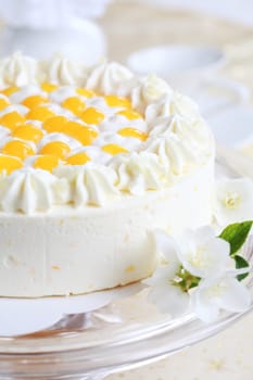 Delicious yogurt cake with oranges and cream