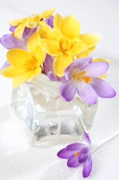 Easter detail with Easter eggs or spring motive