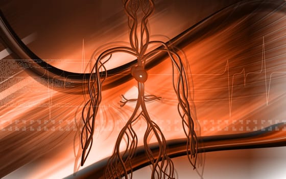 Digital illustration of vascular system in colour background