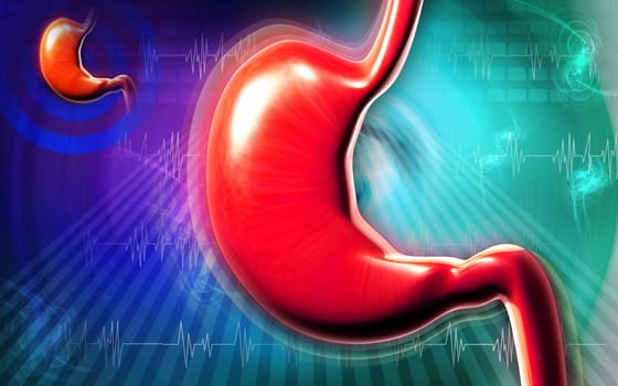 Digital illustration of stomach in colour background