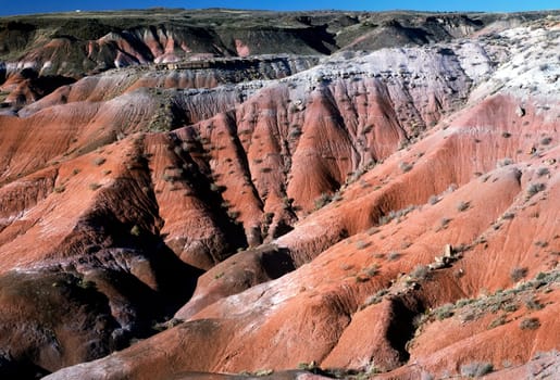 Painted desert, Arizona.
