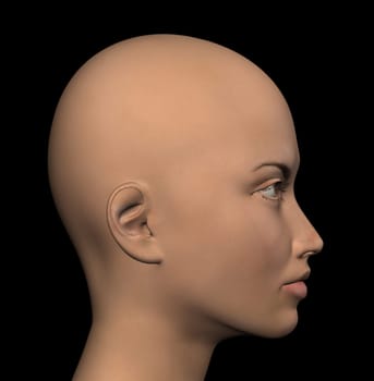 Female figure profile on black background. Digitally created 3d illustration.