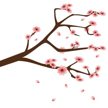 Branch with delicate flowers in pink