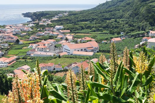 Small village of Ribeiras in Pico island, Azores