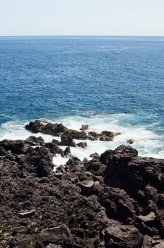 Volcanic rock in Pico island costline, Azores