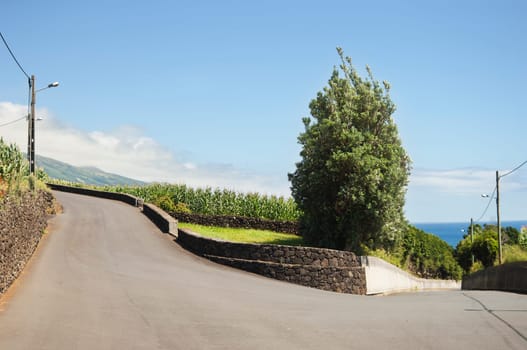 Country road in Pico island, Azores