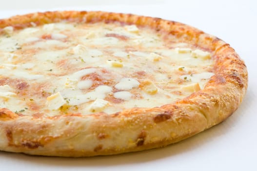 Cheese Pizza on white background
