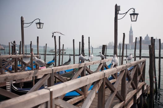 Venice