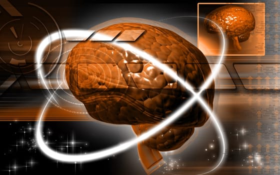 Digital illustration of brain in colour background