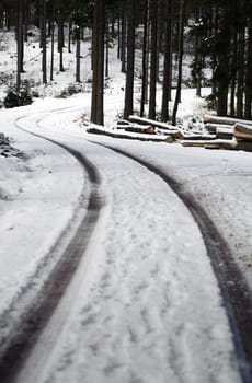 Winding Road in a Winter Forest, taken in Austria
