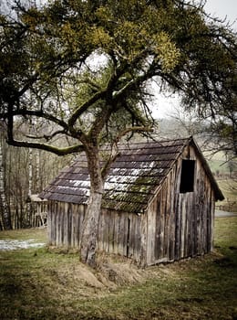 Small wooden Barn with a tree in Winter