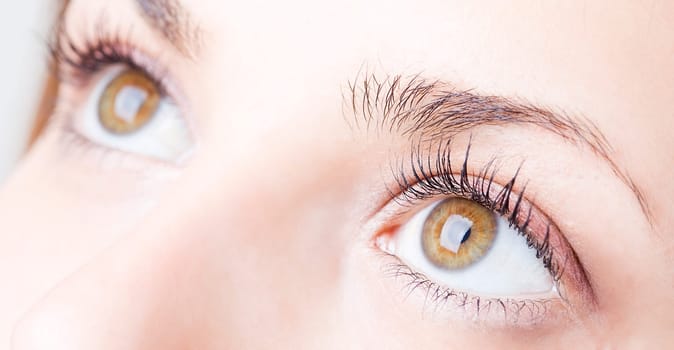close up of the eyes of a pretty young girl