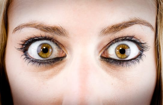 close up of the eyes of a pretty young girl in a surprise or fear expression